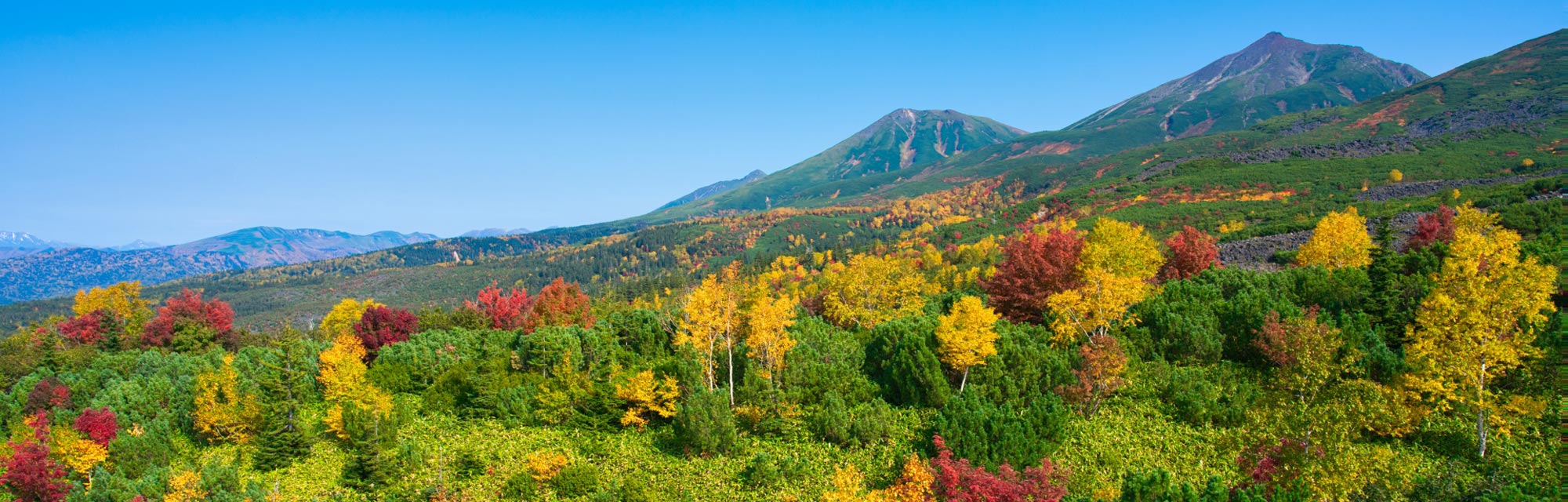 北海道的紅葉景點