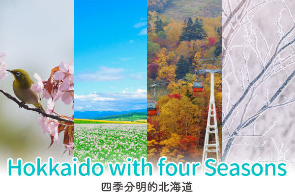 四季分明的北海道