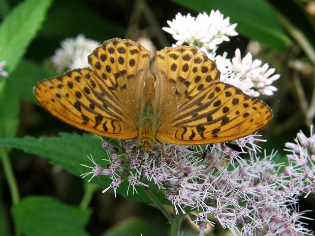 naturepark_sarobetsu5.jpg